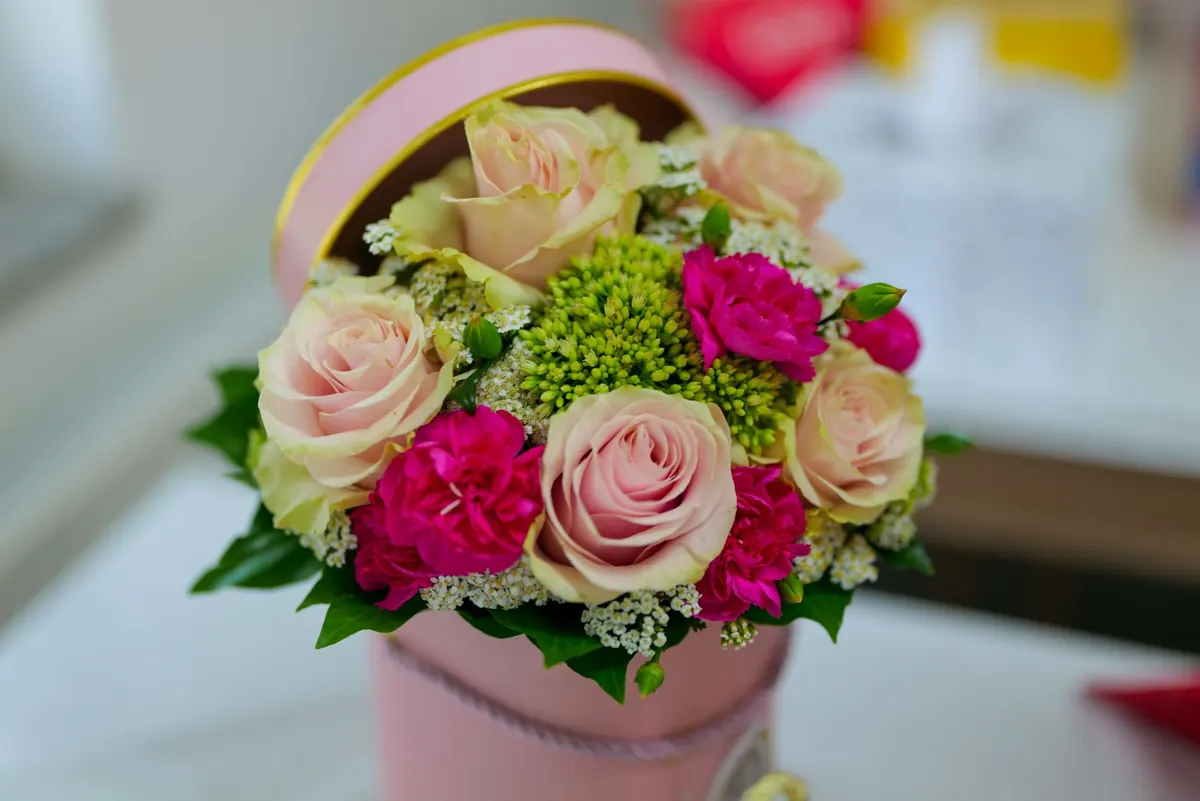 Birthday Flowers vs. Birthday Plants: Which Gift Lasts Longer?